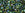 Grossiste en cc1829 - AIKO Toho Beads 11/0 tube Forest Green-Lined Jonquil Rainbow (2g)