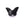 Perlengroßhändler in der Schweiz Geschnitzter Schmetterlingsanhänger aus schwarzem Achat 17 x 16.5 mm – Loch: 1 mm (1)