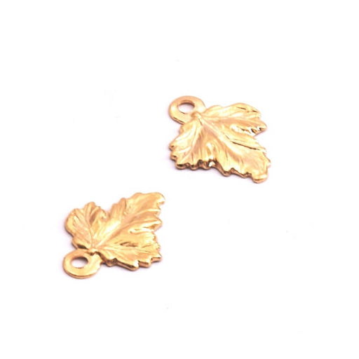 Kaufen Sie Perlen in der Schweiz Mini-Anhänger Gold Filled Blatt 10x8mm (2)