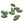 Vente au détail Perles en Verre de Bohême Feuille Verte et Doré 11x6mm (20)