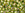 Perlen Einzelhandel cc996 - Toho rocailles perlen 6/0 gold lined rainbow peridot (10g)