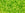 Grossiste en cc4 - perles de rocaille Toho 8/0 transparent lime green (10g)