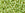 Perlen Einzelhandel cc945 - Toho rocailles perlen 8/0 inside jonquil/ mint julep lined (10g)