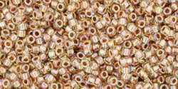 cc994 - perles de rocaille Toho 15/0 gold-lined rainbow crystal (5g)