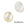 Perlengroßhändler in der Schweiz Weißer Muschel Oval Cabochon 10x8mm (2)