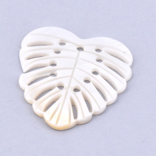 Achat Pendentif nacre coquillage blanc feuille Monstera 31x30mm (1)