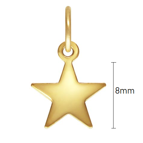 Pendentif breloque charm étoile Gold filled 8mm avec anneau (1)