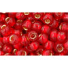 Achat Cc25c - perles de rocaille Toho 6/0 silver-lined ruby (250g)