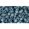 cc2102 - perles de rocaille toho 8/0 silver lined milky montana blue (10g)