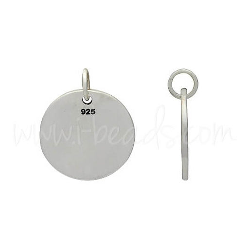 Sterling Silber Sternzeichen Charm Widder (1)