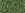 Perlen Einzelhandel cc2633F - Toho Rocailles Perlen 11/0 semi glazed rainbow Clover (10g)