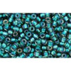 cc270 - perles de rocaille Toho 11/0 crystal/prairie green lined (10g)