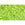 Perlen Einzelhandel cc164 - Toho treasure perlen 11/0 transparent rainbow lime green (5g)