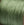 Perlengroßhändler in der Schweiz Geflochtene Nylonschnur - 0.8mm - Carraibe grün - (3m)
