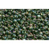 cc180 - perles de rocaille Toho 11/0 trans-rainbow olivine (10g)