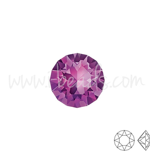 Swarovski 1088 xirius chaton amethyst 6mm-ss29 (6)