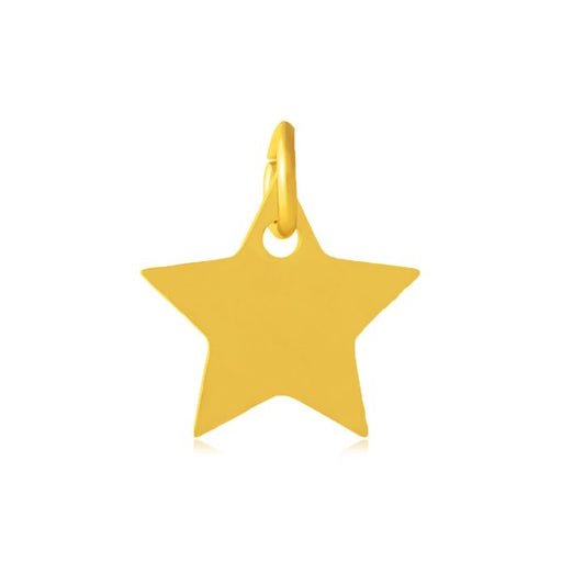 Médaille breloque pendentif motif étoile Acier Inoxydable doré OR avec anneau 12mm (1)