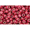 Achat cc2113 - perles de rocaille Toho 8/0 silver lined milky pomegranate (10g)