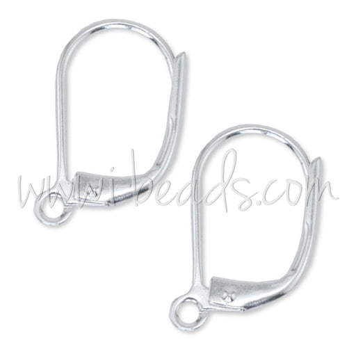 6 Boucles d'oreilles Dormeuses métal plaqué argent 14x10mm (6 unités)