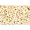cc762 - perles de rocaille Toho 15/0 opaque-pastel-frosted egg shell (5g)