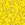 Vente au détail ccTLH404 -Miyuki HALF tila perles Opaque Yellow 5x2.5mm (35 perles)