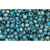 cc167bdf - perles de rocaille Toho 11/0 transparent rainbow frosted teal (10g)