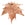 Perlengroßhändler in der Schweiz Anhänger Ahornblatt - echtes Naturblatt galvanisiert mit 24k Rosengold 50mm (1)