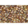 cc268 - perles de rocaille Toho 11/0 rainbow crystal/gold lined (10g)