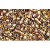 cc268 - Toho rocailles perlen 11/0 rainbow crystal/gold lined (10g)