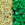 Vente au détail cc2721 - perles de rocaille Toho 11/0 Glow in the dark yellow/bright green (10g)
