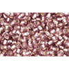 Achat cc26 - perles de rocaille Toho 11/0 silver lined light amethyst (10g)