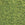 Vente au détail DB1135 - 11/0 OPAQUE AVOCADO- 1,6mm - Hole : 0,8mm (5gr)
