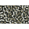 cc29bf - perles de rocaille Toho 11/0 silver lined frosted grey (10g)