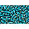 Kaufen Sie Perlen in der Schweiz cc27bdf - Toho rocailles perlen 11/0 silver lined frosted teal (10g)