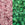 Perlengroßhändler in der Schweiz cc2720 - Toho Rocailles Perlen 11/0 Glow in the dark pink/yellow green (10g)