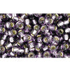 cc39 - perles de rocaille Toho 8/0 silver lined tanzanite (10g)