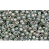 cc176bf - perles de rocaille Toho 11/0 trans-rainbow frosted grey (10g)