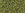 Vente au détail cc2631F - perles de rocaille Toho 11/0 semi glazed rainbow Olive (10g)