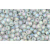 cc176af - perles de rocaille Toho 11/0 transparent rainbow frosted black diamond (10g)