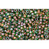 cc249 - perles de rocaille Toho 15/0 inside colour peridot/emerald lined (5g)