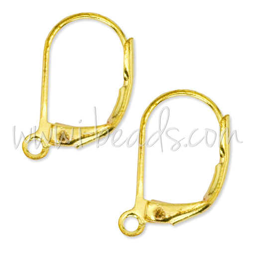 Achat 6 Boucles d&#39;oreilles Dormeuses métal doré or fin  14x10mm (6 unités)