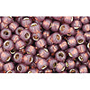 Kaufen Sie Perlen in der Schweiz ccPF2114 - Toho rocailles 8/0 silver lined milky nutmeg (10g)