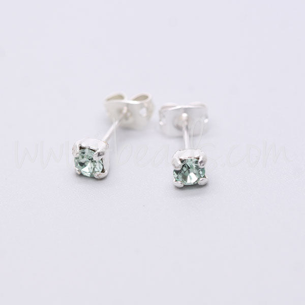 Serti boucle d'oreilles pour Swarovski 1088 4mm-pp31-SS19 argenté (2)