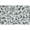 cc53f - perles de rocaille Toho 11/0 opaque frosted grey (10g)