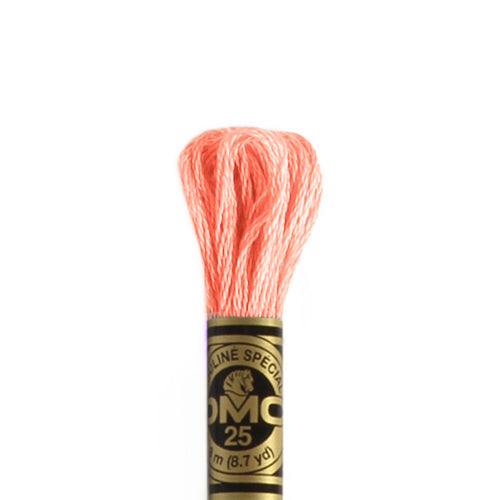 Fil à broder DMC mouliné spécial coton 8m rose 3824 (1)