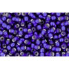 Achat cc28df - perles de rocaille Toho 11/0 silver lined frosted cobalt(10g)