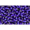 cc28df - perles de rocaille Toho 11/0 silver lined frosted cobalt(10g)